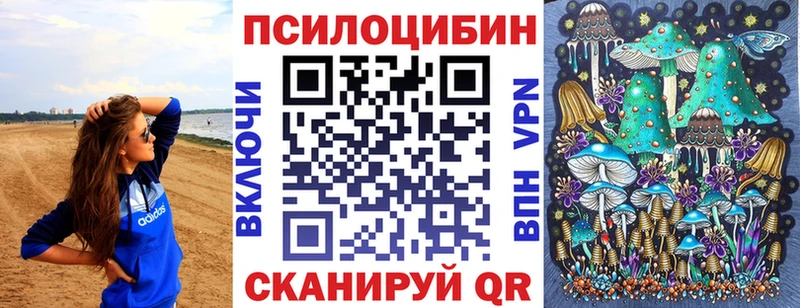omg   Шуя  Галлюциногенные грибы Magic Shrooms 